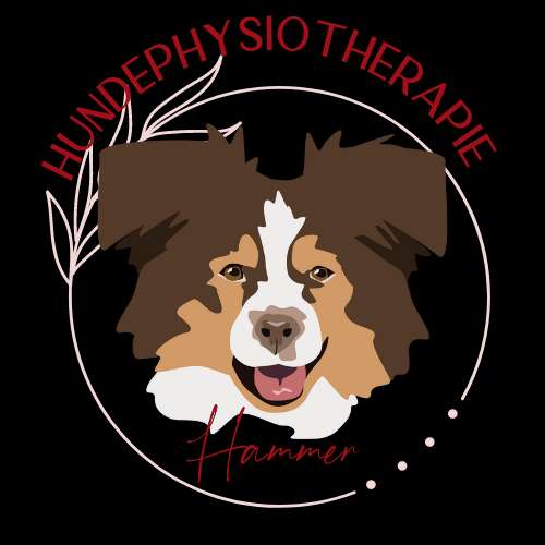 Hundetreffen-Hundephysiotherapie-Profilbild
