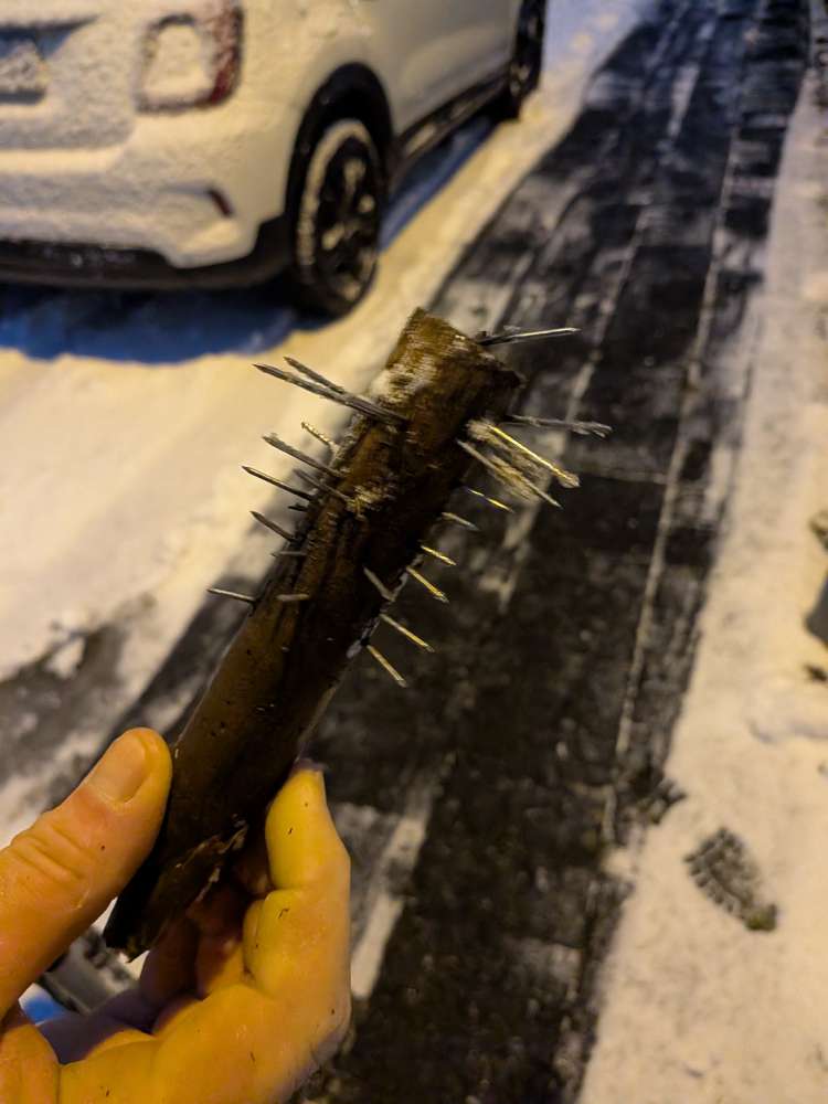 Giftköder-Nägel in Stock-Profilbild