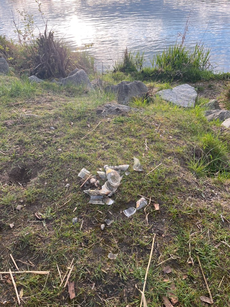 Giftköder-Glassplitter-Profilbild