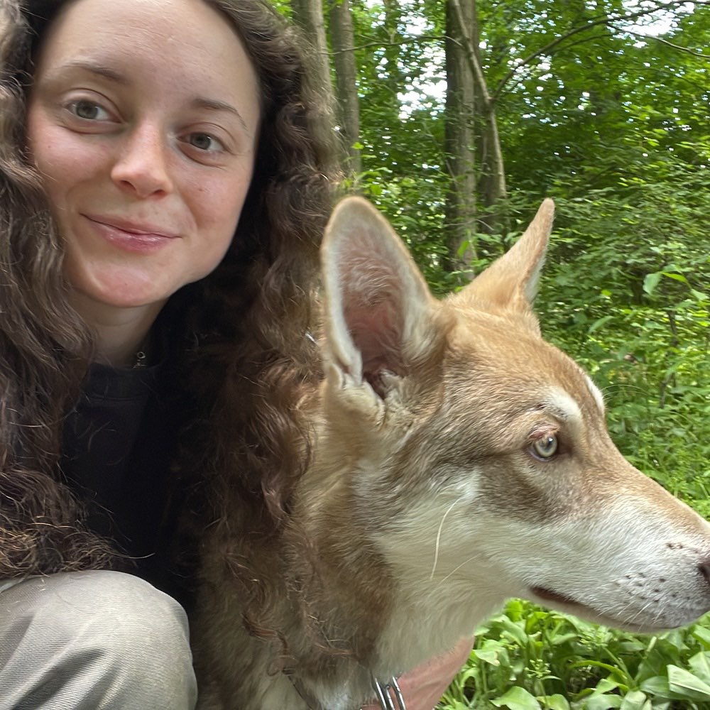 Hundetreffen-Spaziergänge in Linz und Umgebung. Bräuchte einen souveränen Hund und Halter.-Profilbild