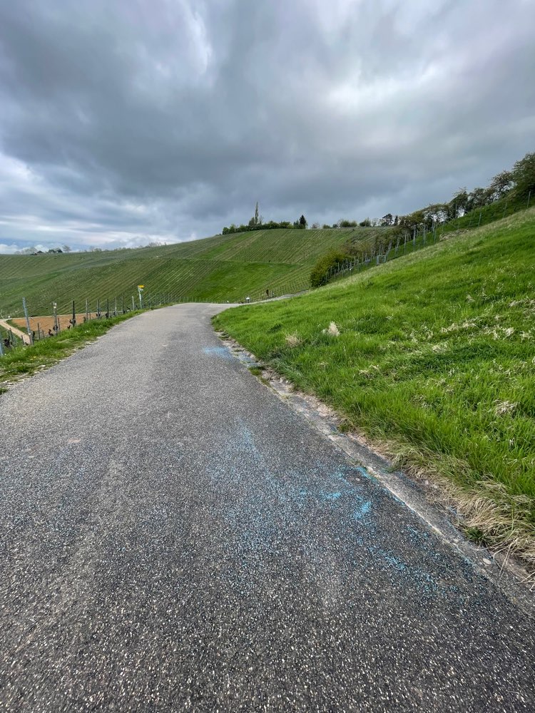 Giftköder-Blaue Kügelchen (Schneckengift?)-Profilbild