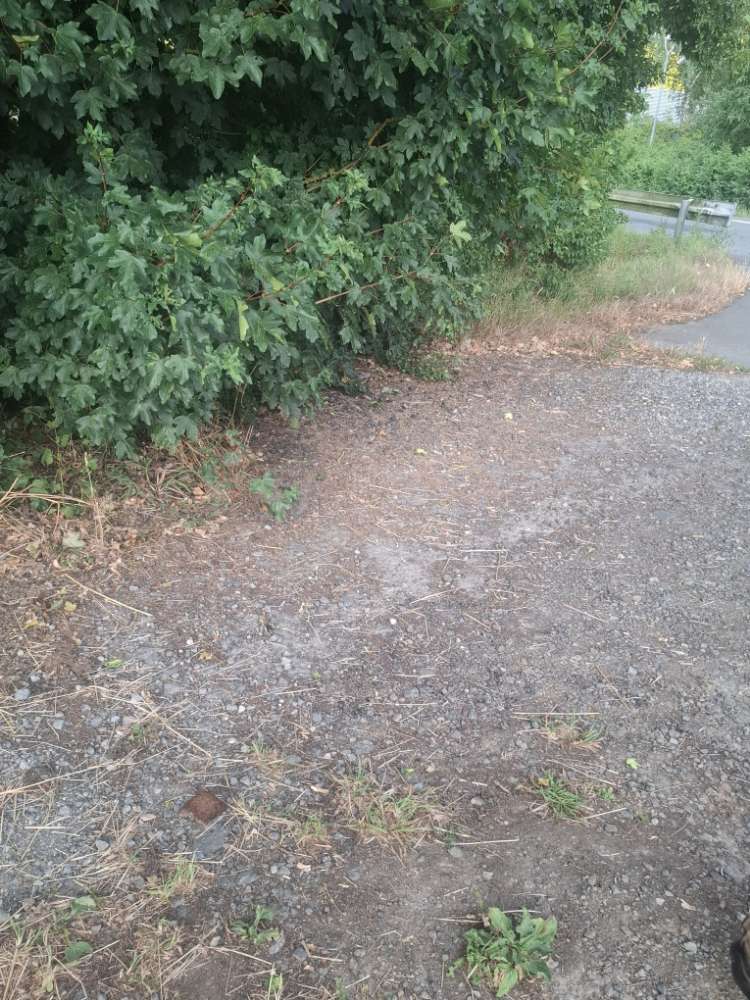 Giftköder-Verdacht auf Giftköder-Profilbild