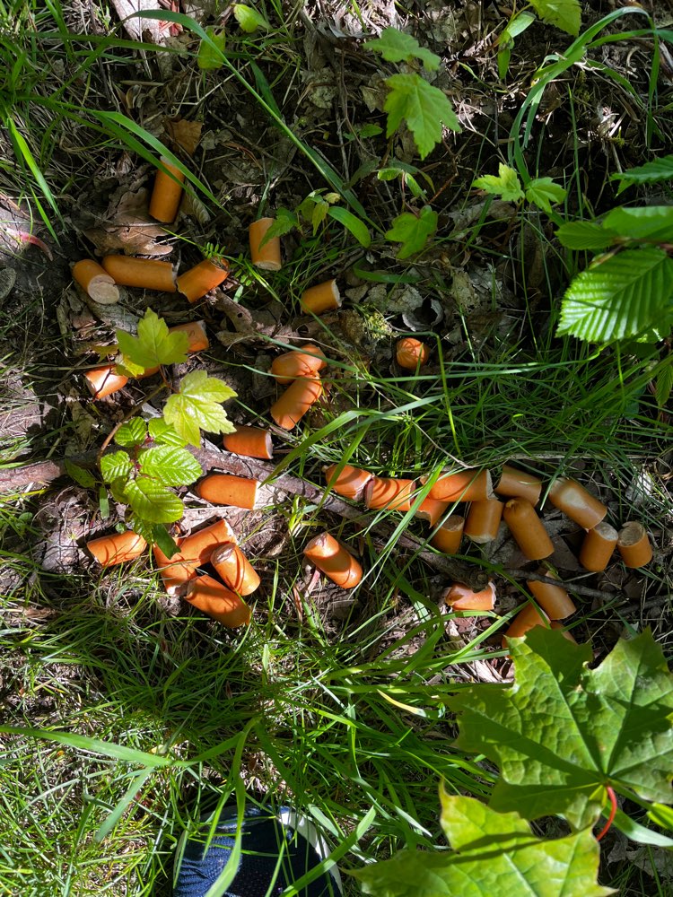 Giftköder-Wiener Würste verteilt-Profilbild