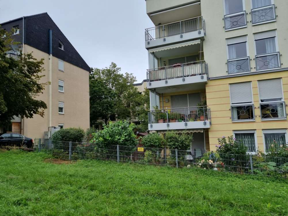 Giftköder-Weiße klebrige Klumpen im Gras-Profilbild