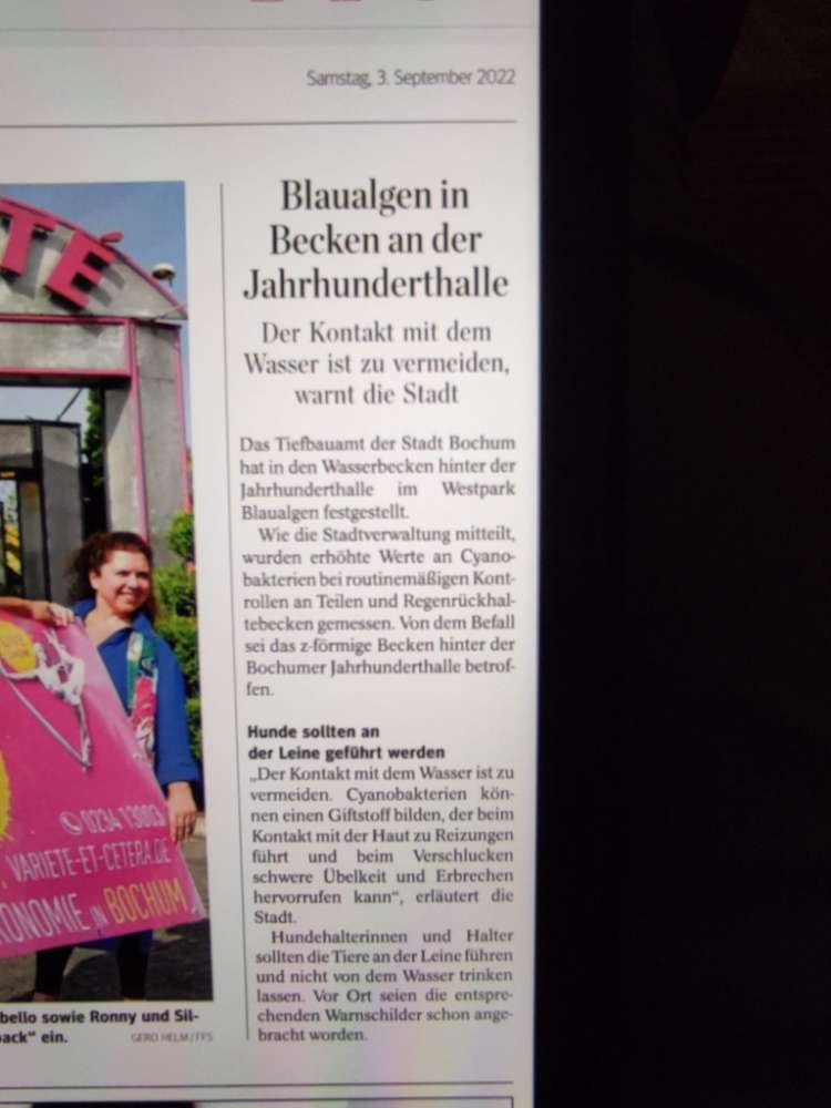 Giftköder-Blaualgen-Profilbild