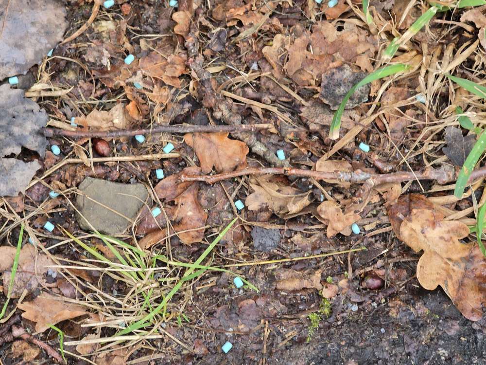 Giftköder-Schneckenkorn-Profilbild