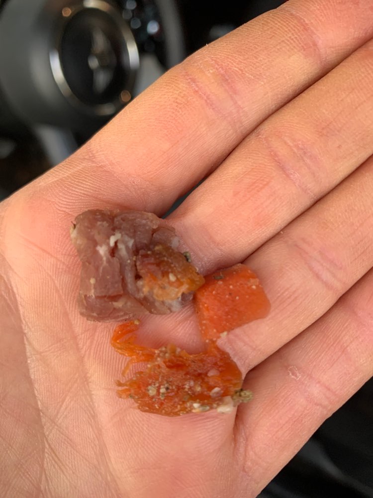 Giftköder-Eventuell Giftköder-Profilbild