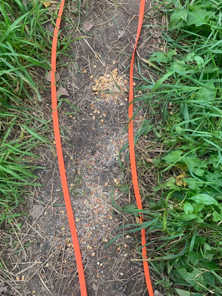 Giftköder-Giftköder an der Schafskoppel-Profilbild