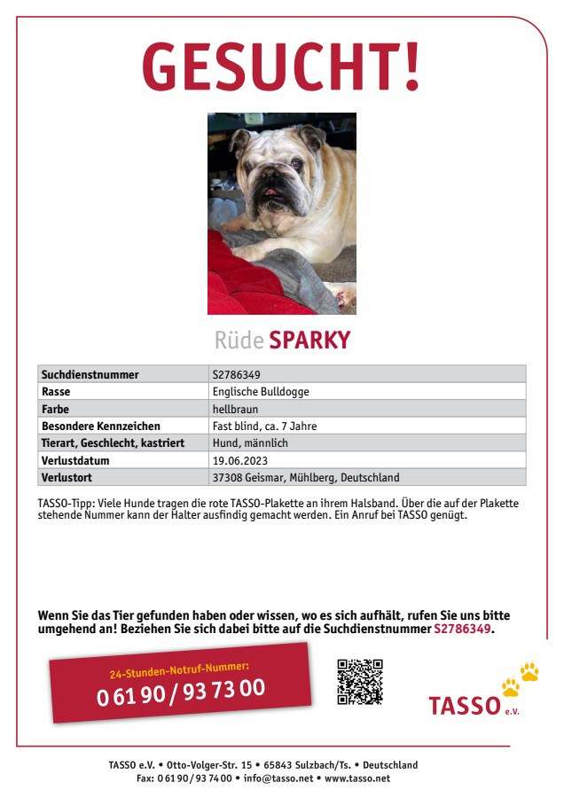 Suchmeldung-Sparky-Profilbild