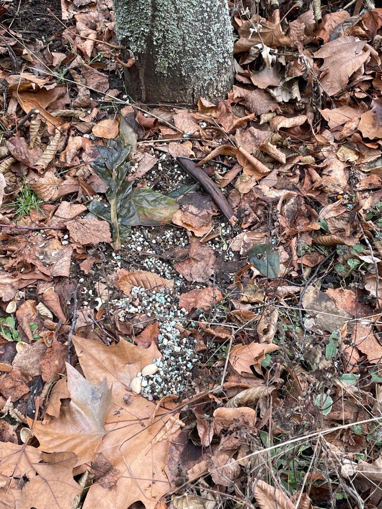 Giftköder-Evtl. Düngemittel-Profilbild