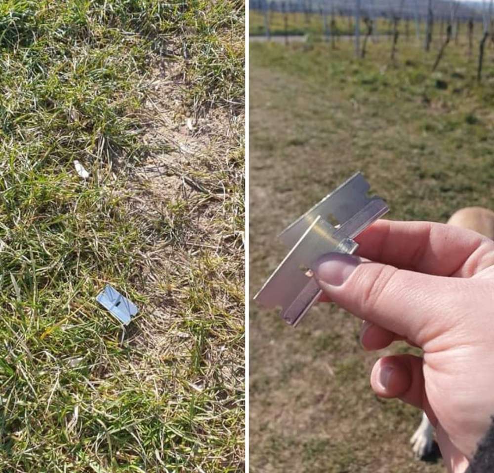 Giftköder-Rasierklingen-Profilbild