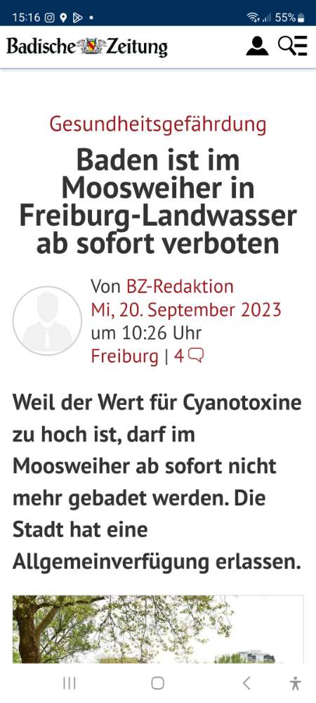 Giftköder-Blaualgen im Moosweiher-Profilbild