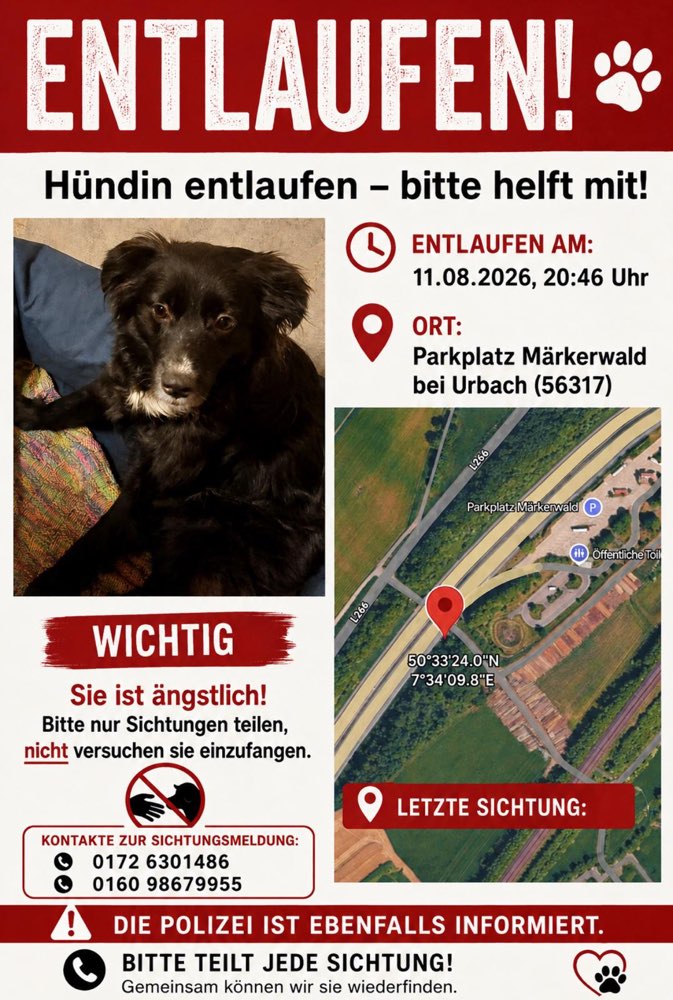 Suchmeldung-Delia-Profilbild