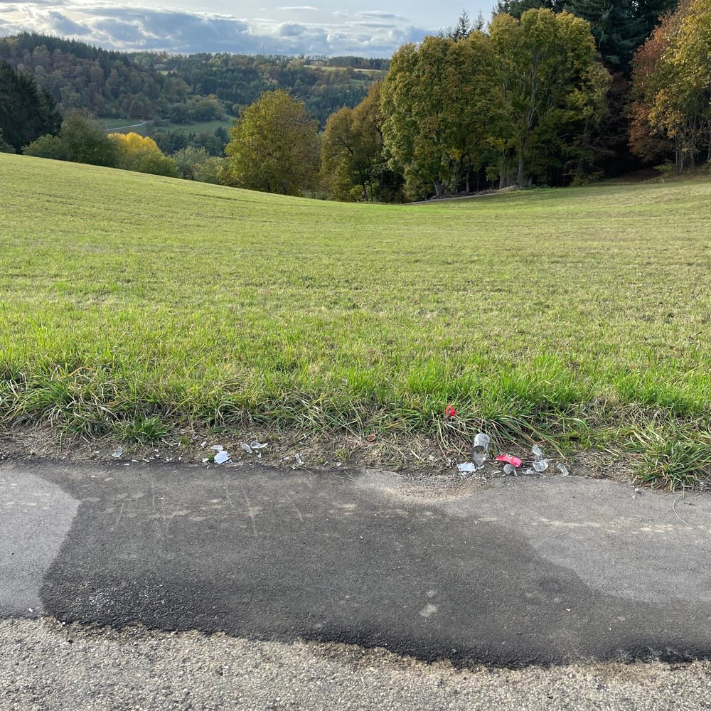 Giftköder-Glasscherben in Sulz am Eck-Profilbild
