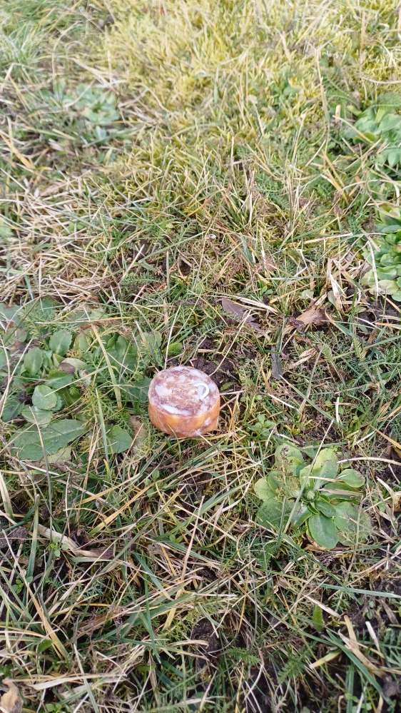 Giftköder-Köder: Wurst mit Nagel-Profilbild