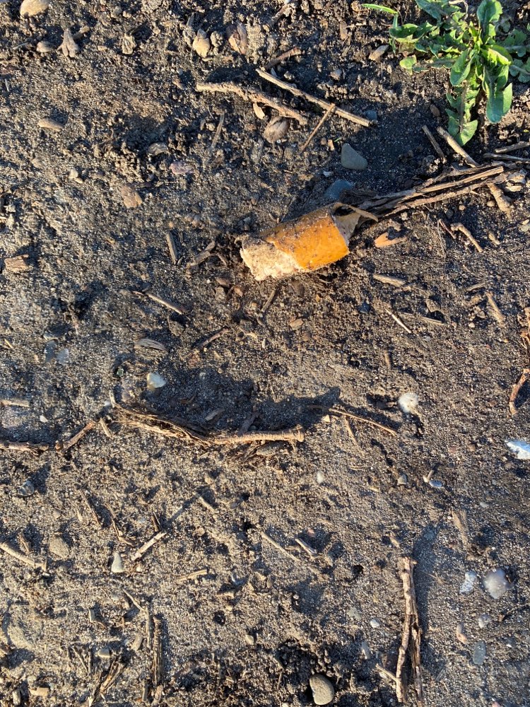 Giftköder-Köder im Seitenstreifen-Profilbild