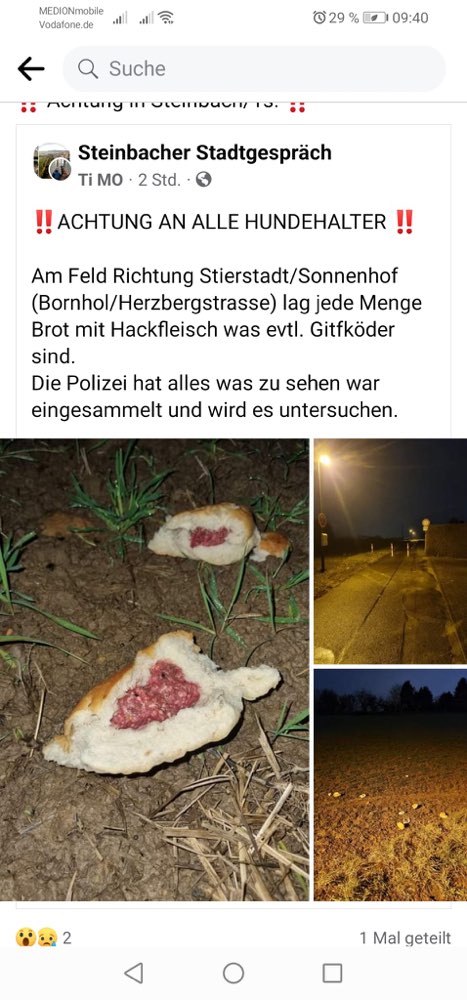 Giftköder-Ausgelegte Brötchen mit Hackfleisch-Profilbild