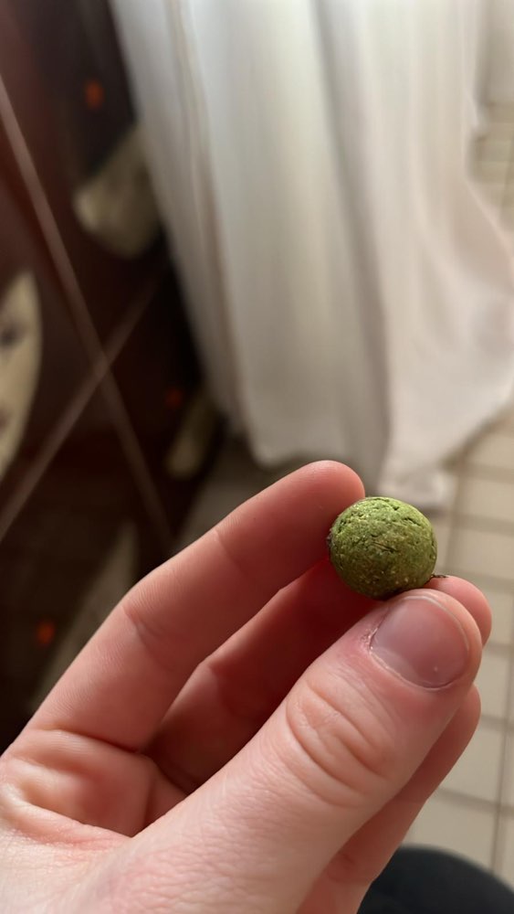 Giftköder-Schneckenkorn (grün)-Profilbild