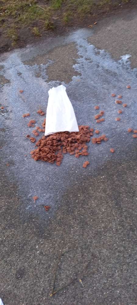 Giftköder-GIFTKÖDER-Profilbild