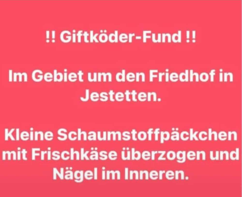 Giftköder-Giftköderfund-Profilbild