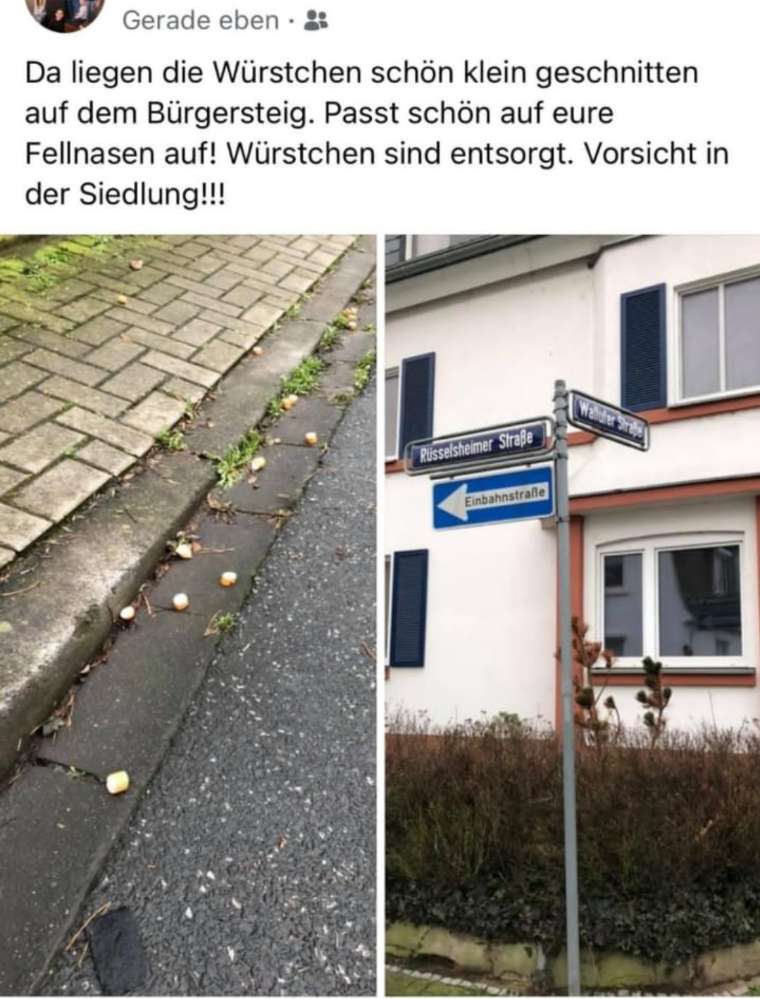 Giftköder-Unbekant eventuell Gift.-Profilbild