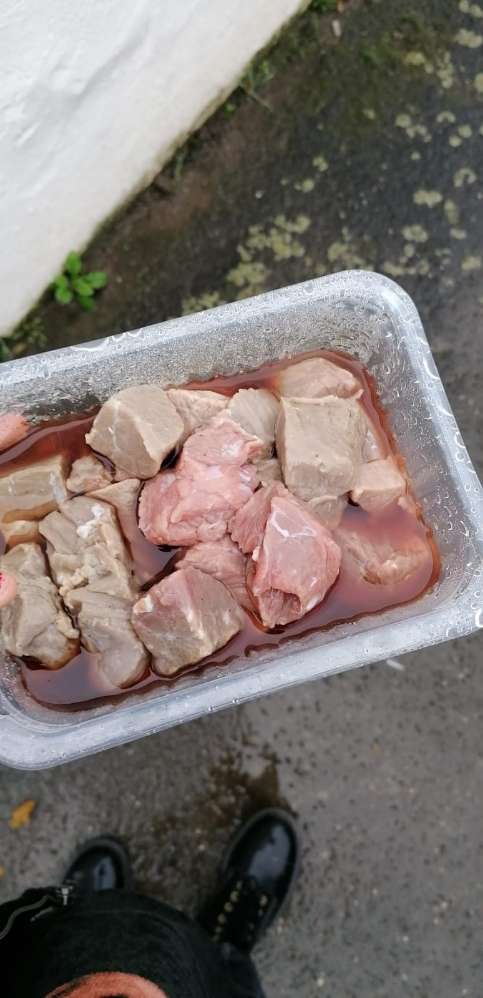 Giftköder-Unbekannter Fleisch Fund-Profilbild