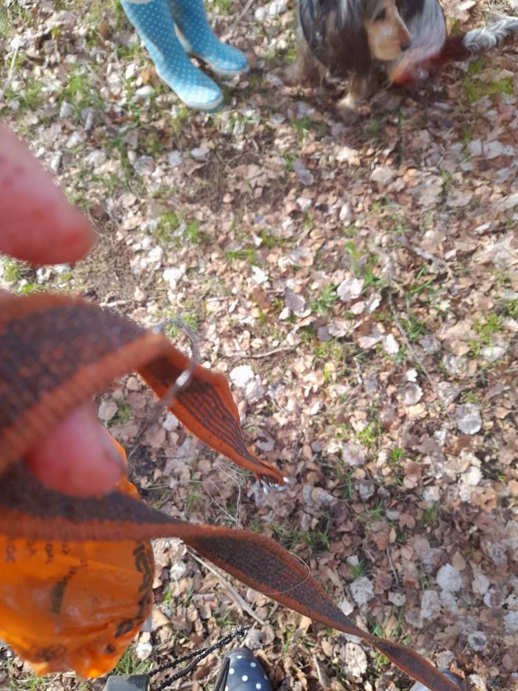 Giftköder-Angelhaken ( mit Schnur)-Profilbild