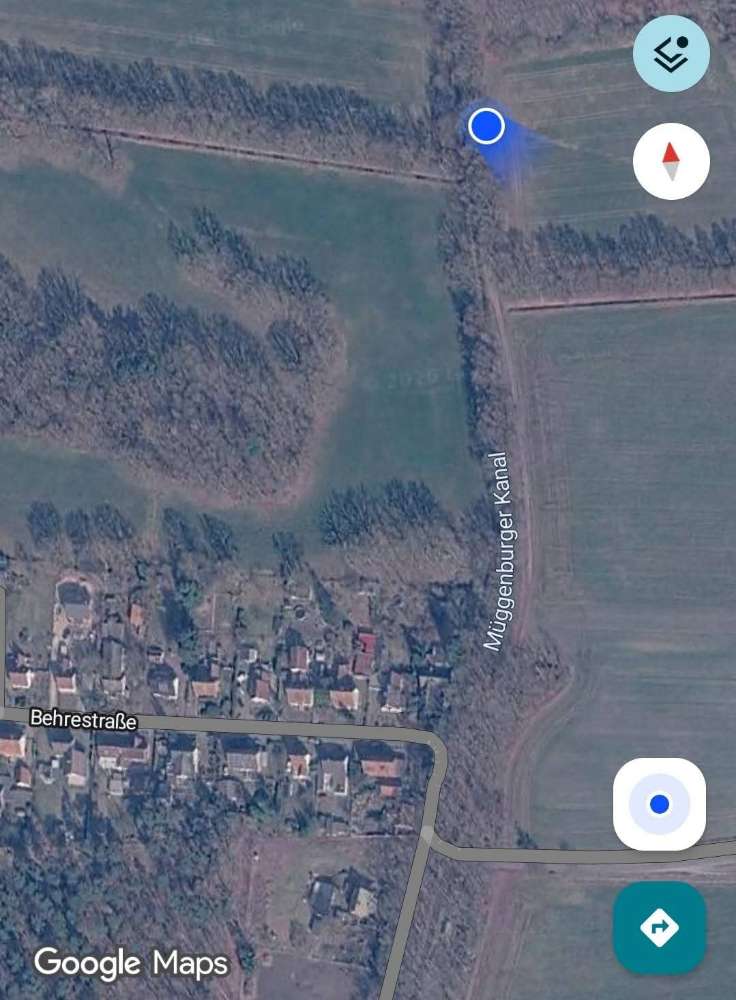 Giftköder-Eichen-Prozessionsspinner-Profilbild