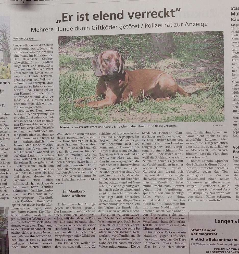 Giftköder-Vermutlich Giftköder-Profilbild