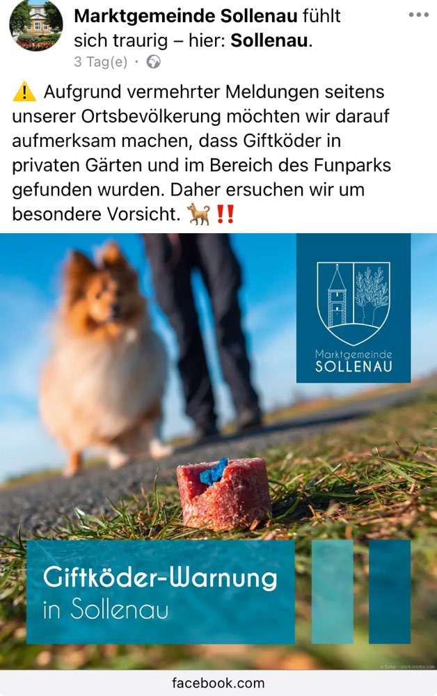 Giftköder-Giftköder-Profilbild