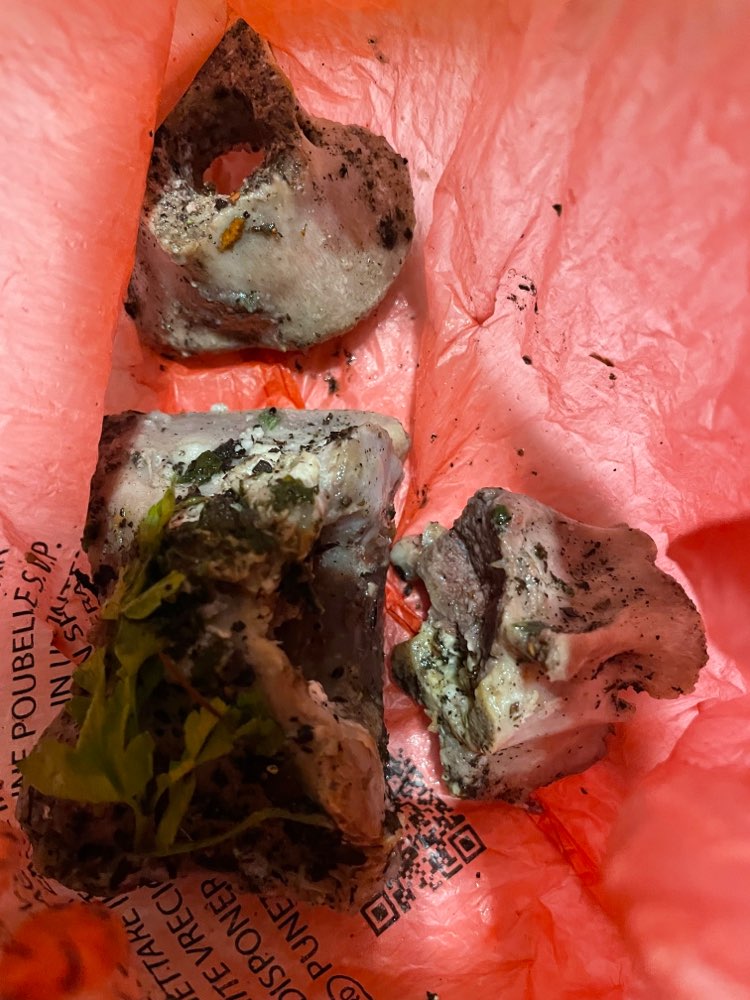 Giftköder-Knochenstücke (vermutlich harmlos)-Profilbild