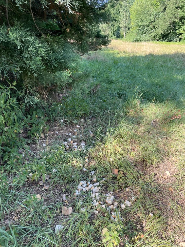 Giftköder-Brot auf der Wiese-Profilbild