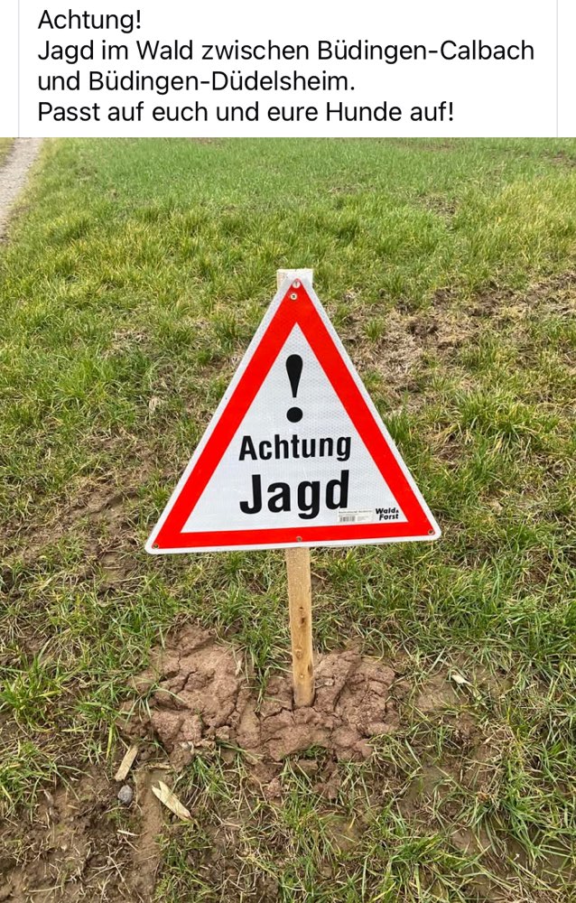 Giftköder-Jagd zwischen Calbach und Düdelsheim-Profilbild