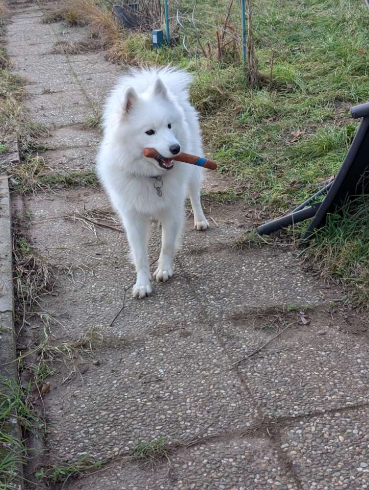 Suchmeldung-Nala-Profilbild