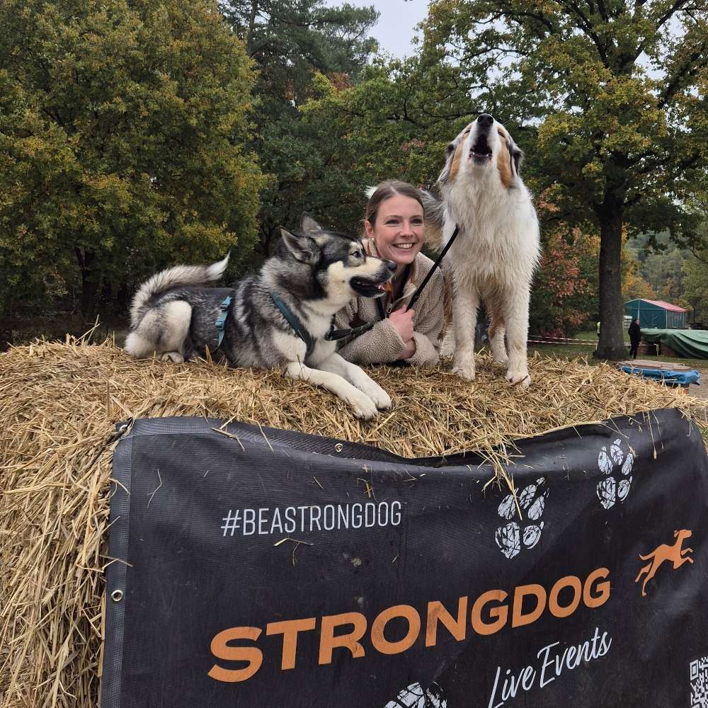 Hundetreffen-Laufpartner gesucht-Profilbild