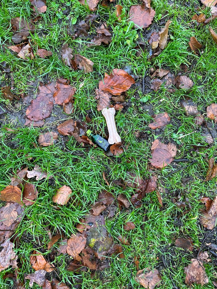 Giftköder-Giftköder-Profilbild