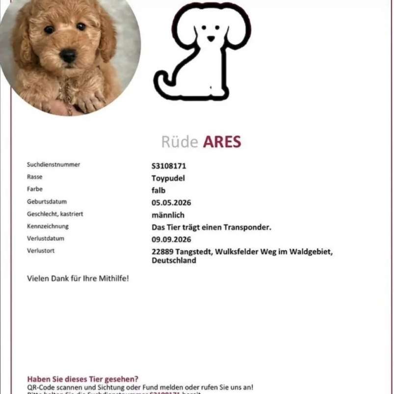 Suchmeldung-Ares-Profilbild