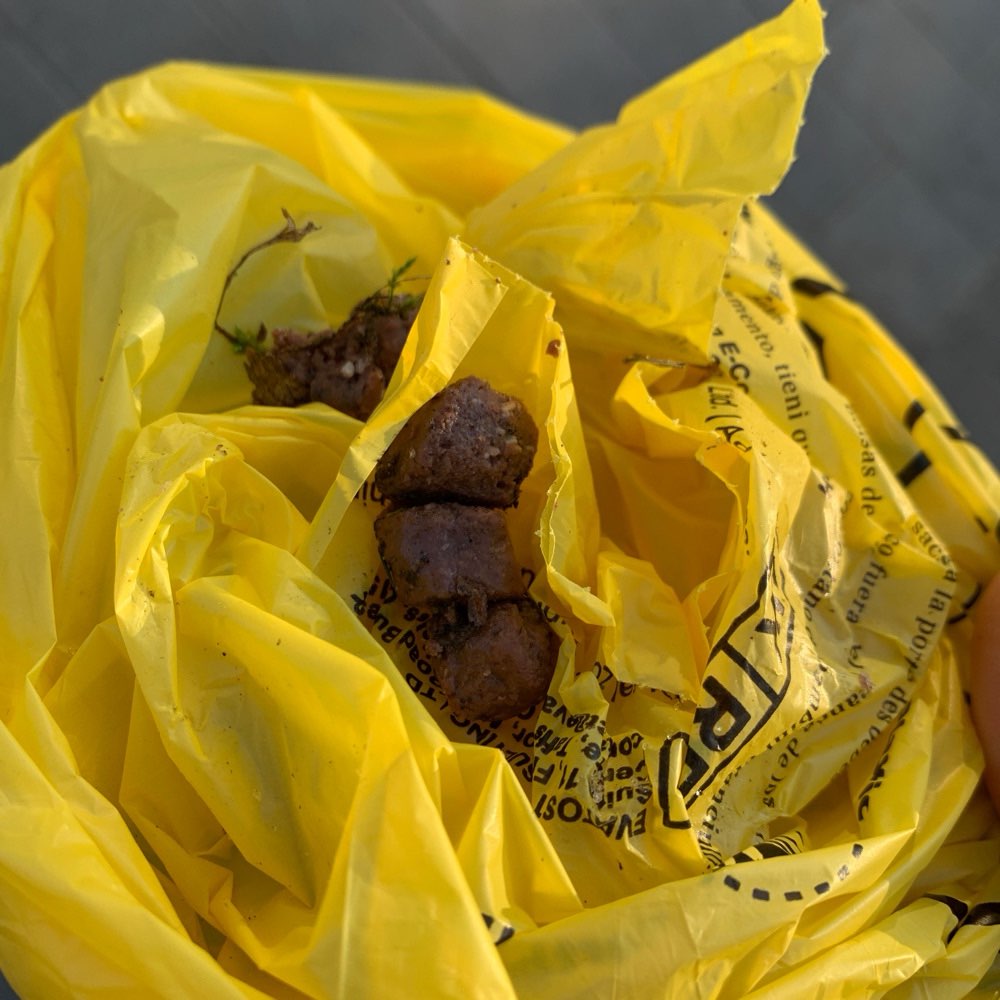 Giftköder-Fleischbrocken-Profilbild