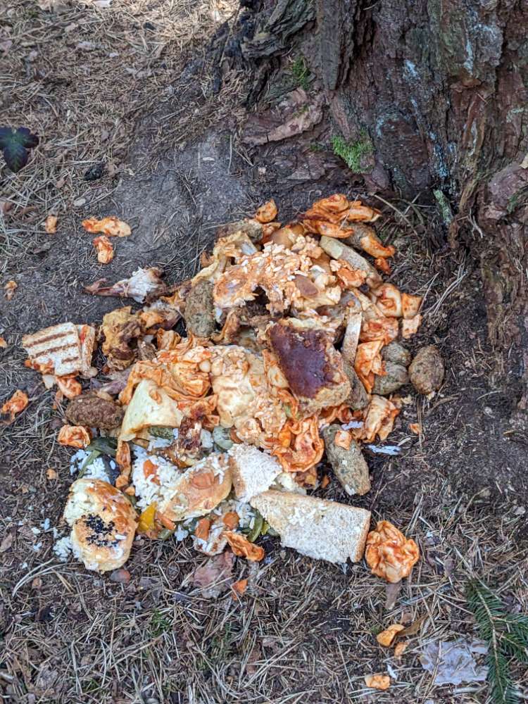 Giftköder-Griechisches Essen, Semmel und Reis-Profilbild