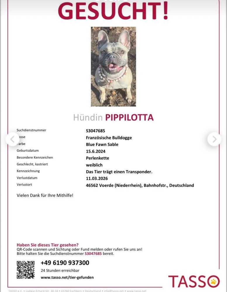 Suchmeldung-Pippilotta-Profilbild