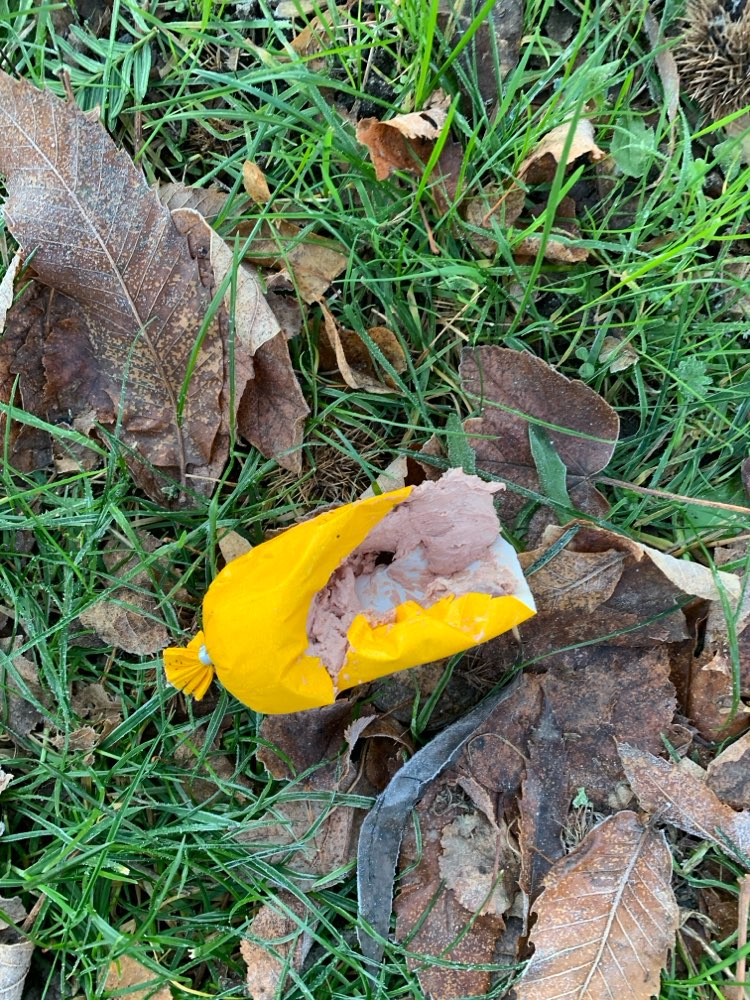 Giftköder-Vermutlicher Giftköder-Profilbild