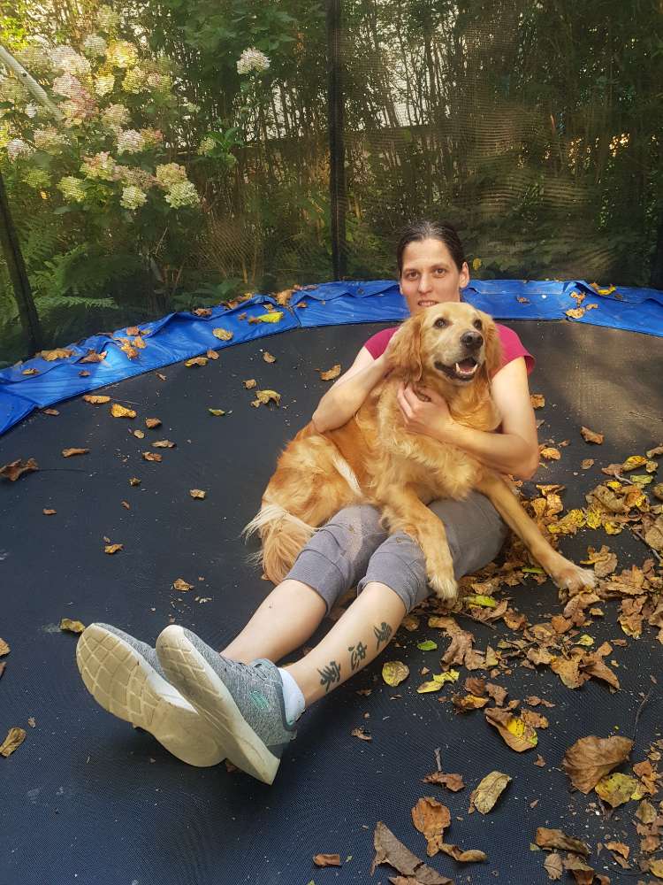 Hundetreffen-Gassi Gehen-Profilbild