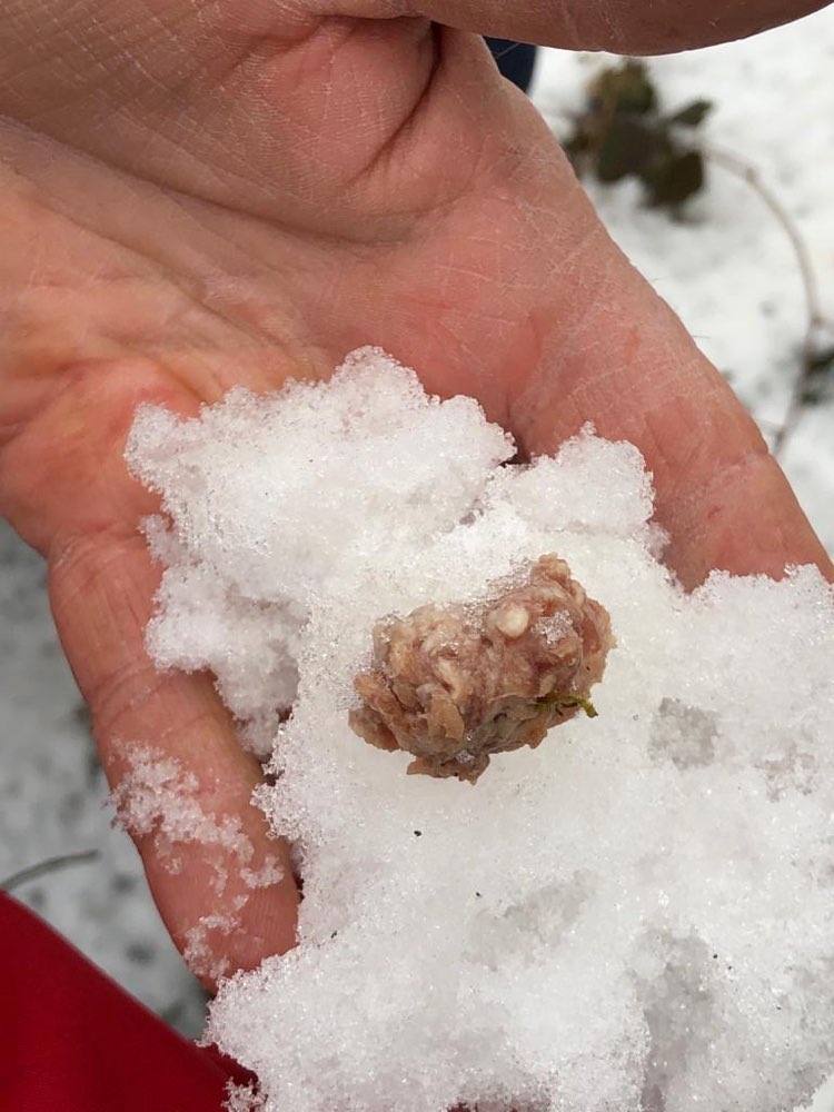 Giftköder-Giftköderfund Vaterstetten-Profilbild
