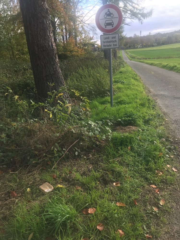 Giftköder-Vermutlich Giftköder-Profilbild