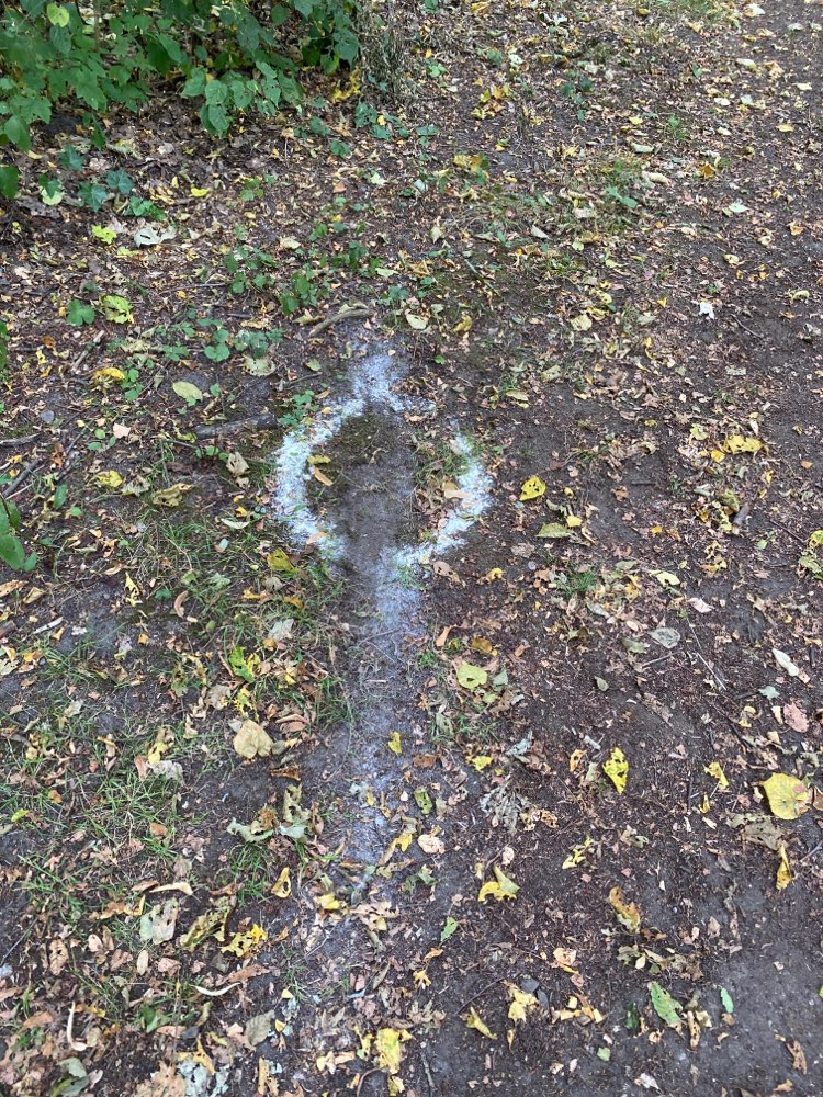 Giftköder-Noch mehr weisses Pulver (entfernt)-Profilbild