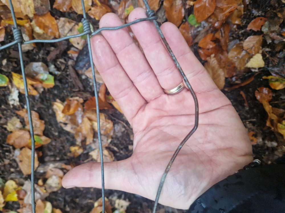 Giftköder-Zaunreste-Profilbild