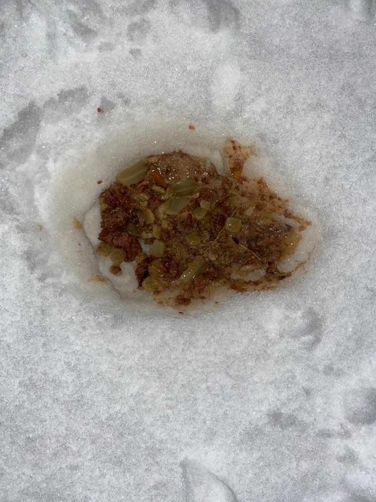 Giftköder-Verdacht auf giftköder-Profilbild