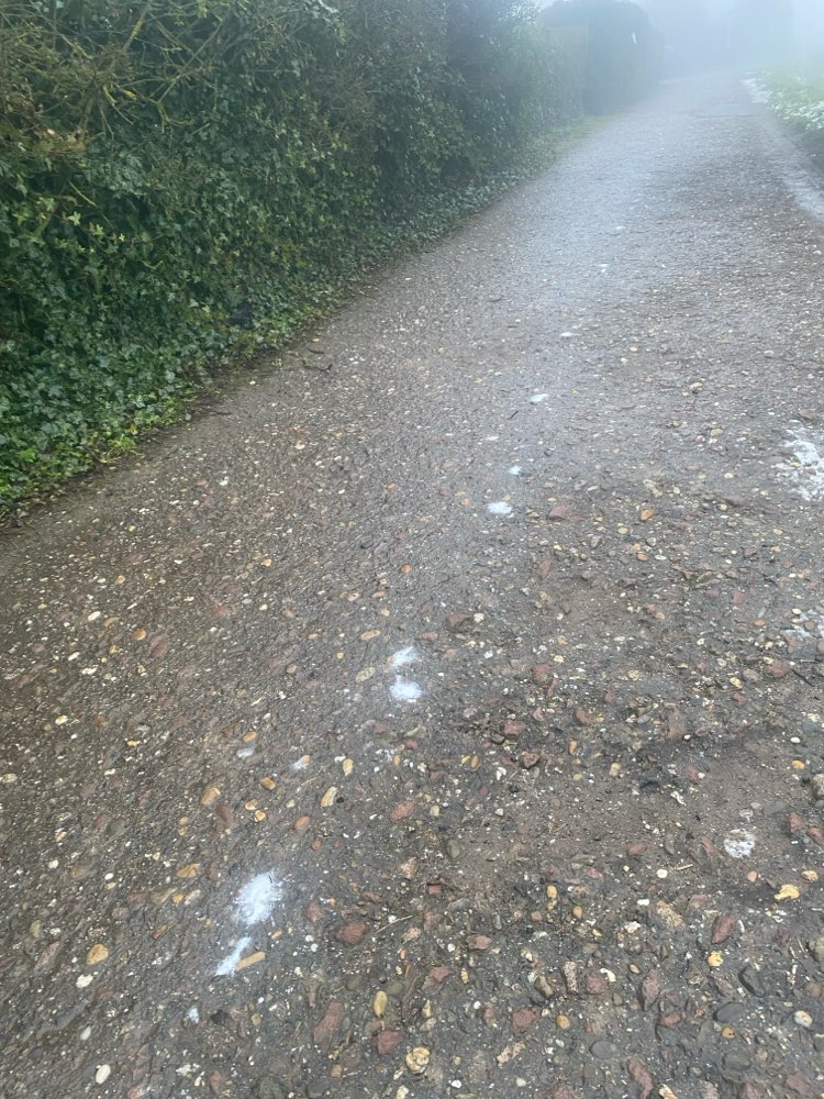 Giftköder-Weißes Pulver auf dem Weg-Profilbild