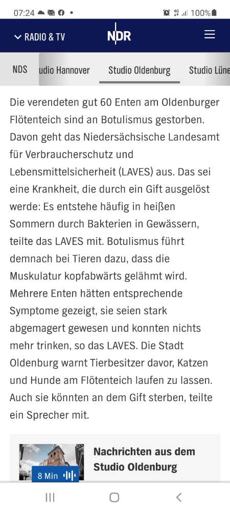 Giftköder-Botulismus im Flötenteich-Profilbild