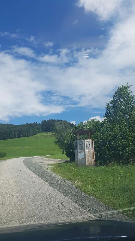 Hundetreffen-Spazieren auf der Saualpe-Profilbild